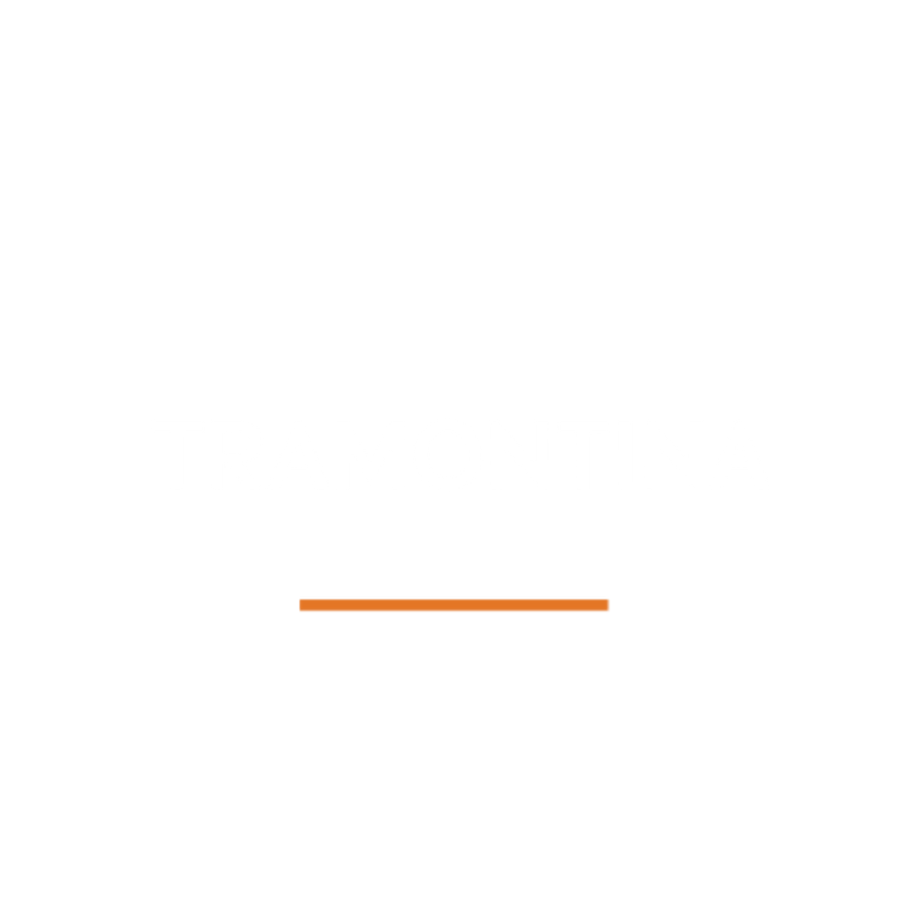 logo tramontina